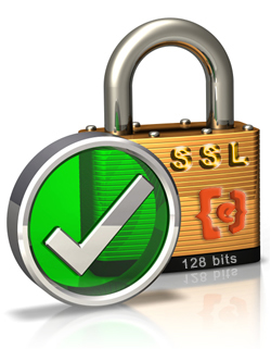 Panel protegido mediante encripaci&oacute;n SSL